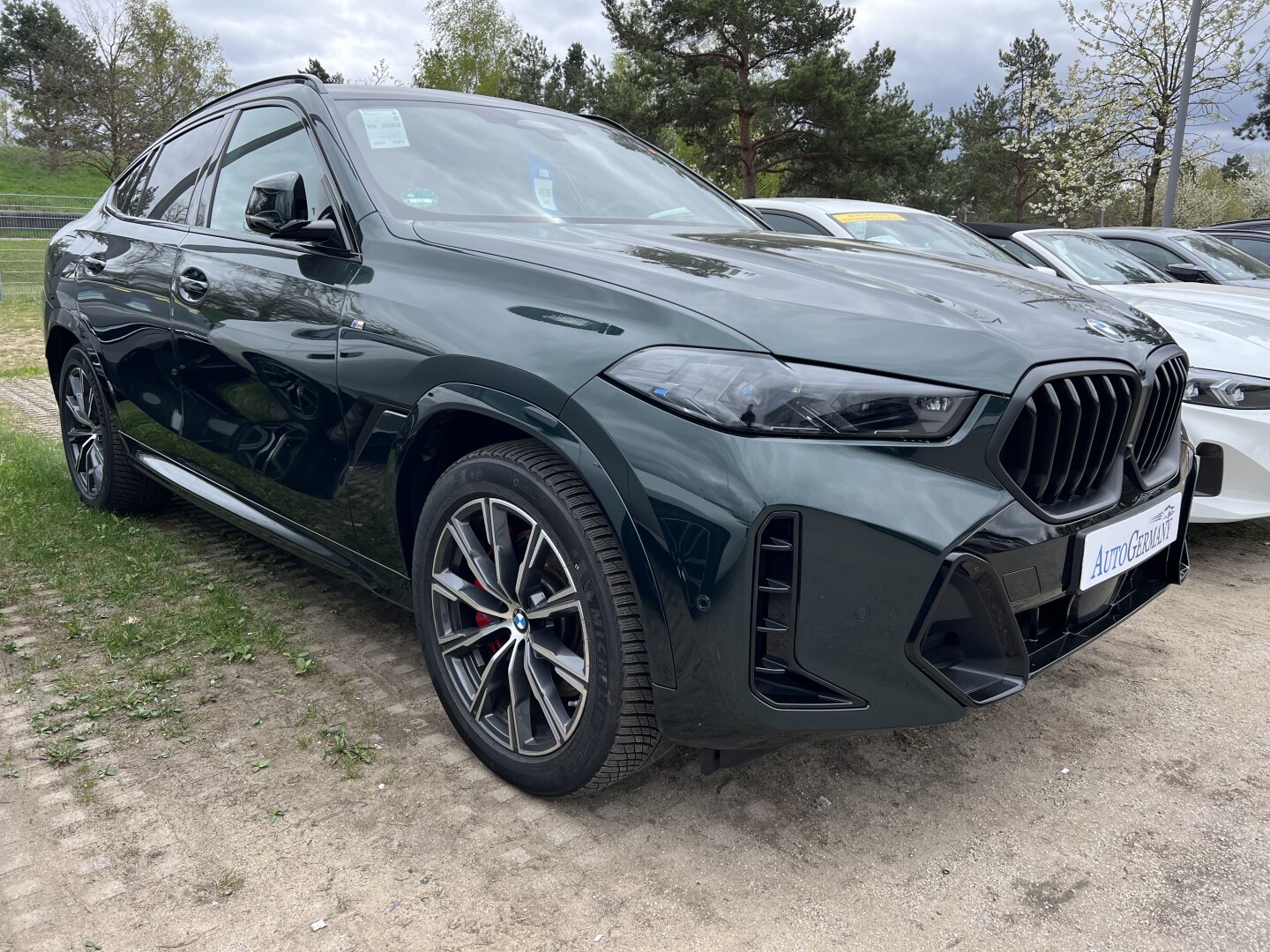 BMW X6 40d xDrive M-Sport Pro Black-Paket LED Из Германии (127077)