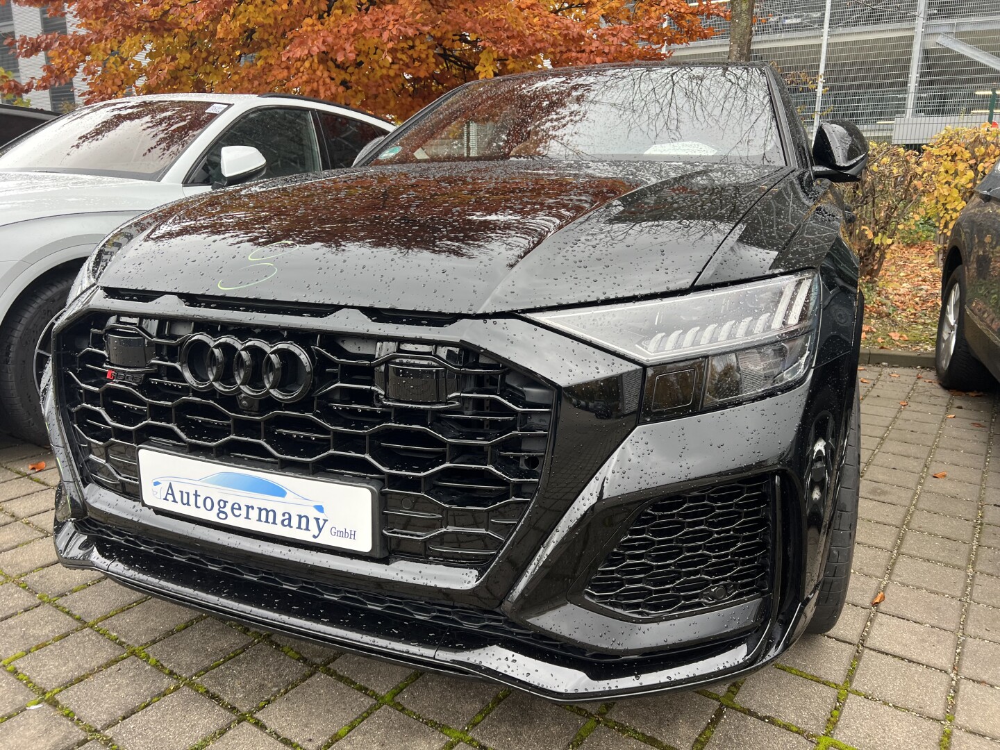 Audi RSQ8 4.0TFSI 600PS Black-Paket Individual З Німеччини (129961)